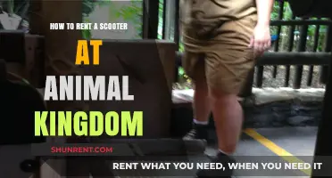Renting a Scooter at Animal Kingdom: A Step-by-Step Guide