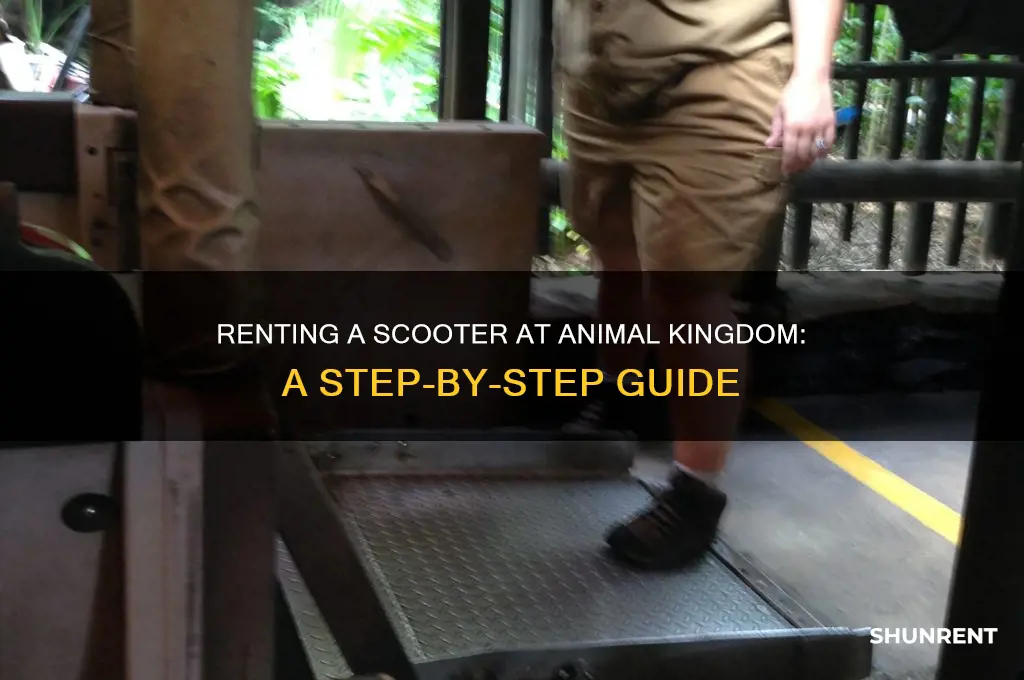 how to rent a scooter at animal kingdom