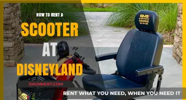Renting a Scooter at Disneyland: Tips for a Magical, Stress-Free Experience