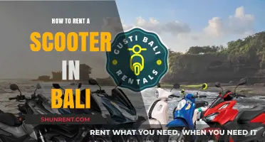 Renting a Scooter in Bali: A Beginner's Guide to Easy Travel