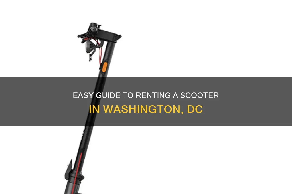how to rent a scooter in dc