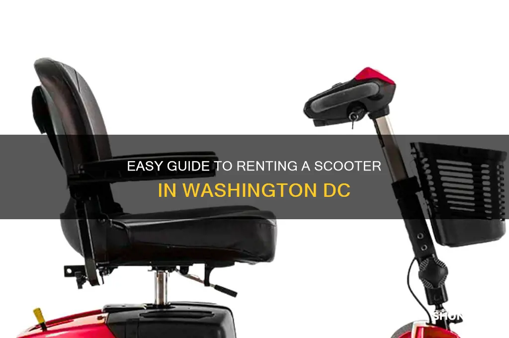 how to rent a scooter in washington dc