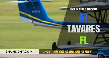 Renting a Seaplane in Tavares, FL: Your Ultimate Guide