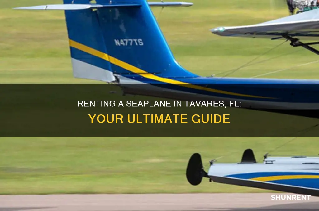 how to rent a seaplane at tavares fl
