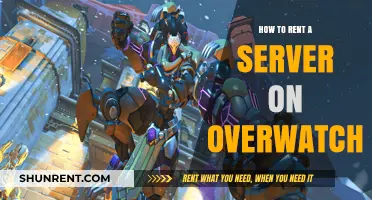 Renting an Overwatch Server: A Step-by-Step Guide for Gamers