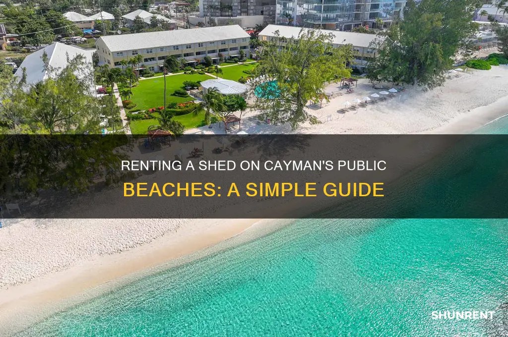 how to rent a shed in public beach cayman