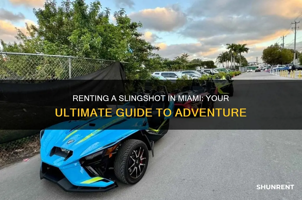 how to rent a slingshot in miami