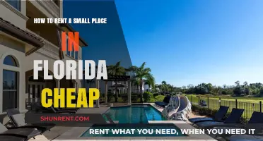 Affordable Florida Living: Tips for Renting a Cozy Space on a Budget