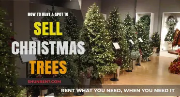 Renting a Spot to Sell Christmas Trees: A Step-by-Step Guide