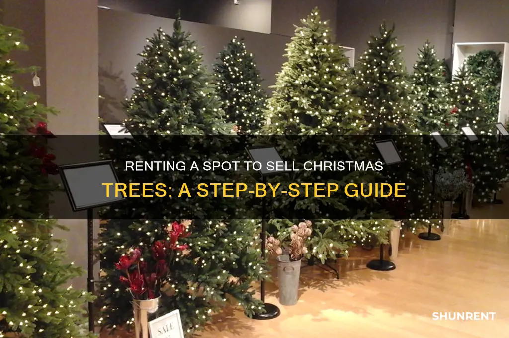 how to rent a spot to sell christmas trees