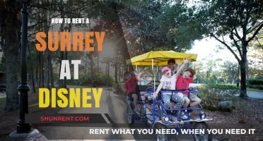 Renting a Surrey at Disney: A Step-by-Step Guide to Family Fun