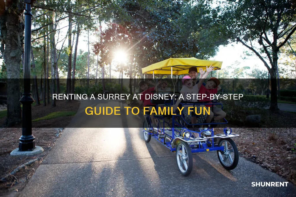 how to rent a surrey at disney