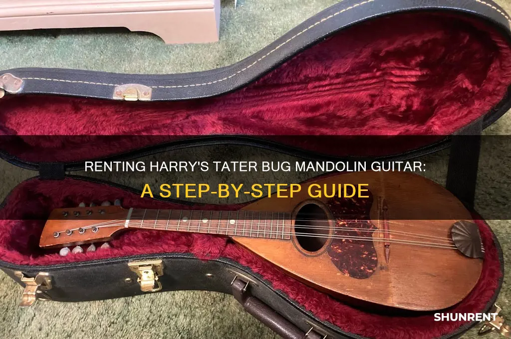 how to rent a tater bug mandolin harry