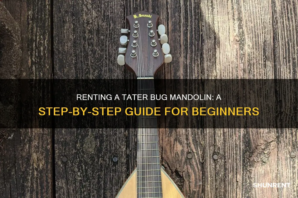 how to rent a tater bug mandolin