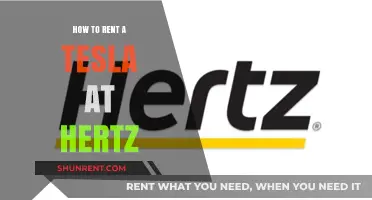 Renting a Tesla at Hertz: A Step-by-Step Guide to Luxury Driving