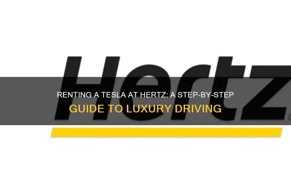 how to rent a tesla at hertz