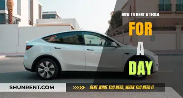 Rent a Tesla for a Day: Ultimate Guide to Luxury Driving