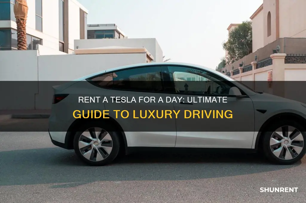 how to rent a tesla for a day