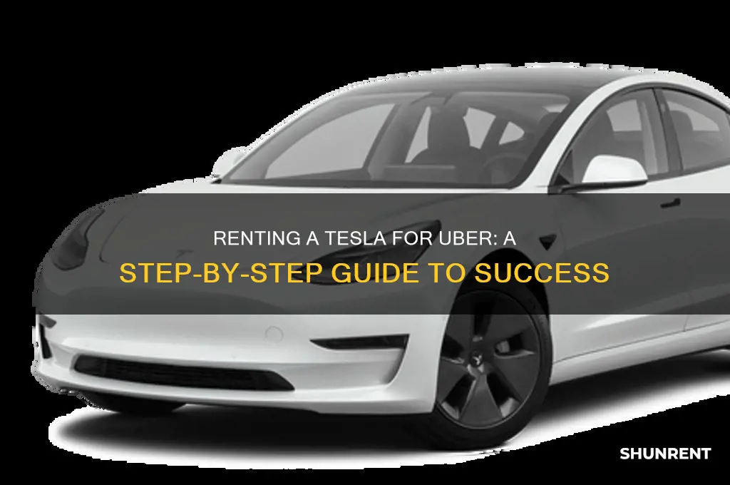 how to rent a tesla for uber