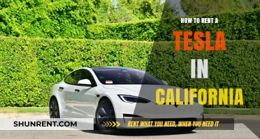 Renting a Tesla in California: Your Ultimate Guide to Luxury Travel