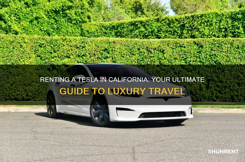 how to rent a tesla in california