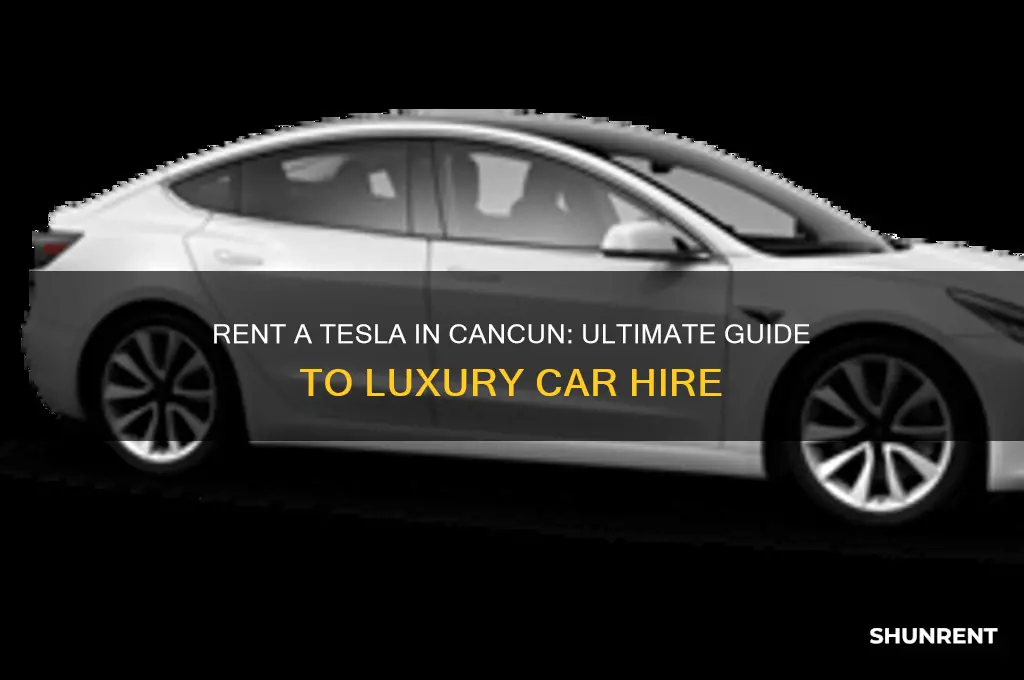 how to rent a tesla in cancun