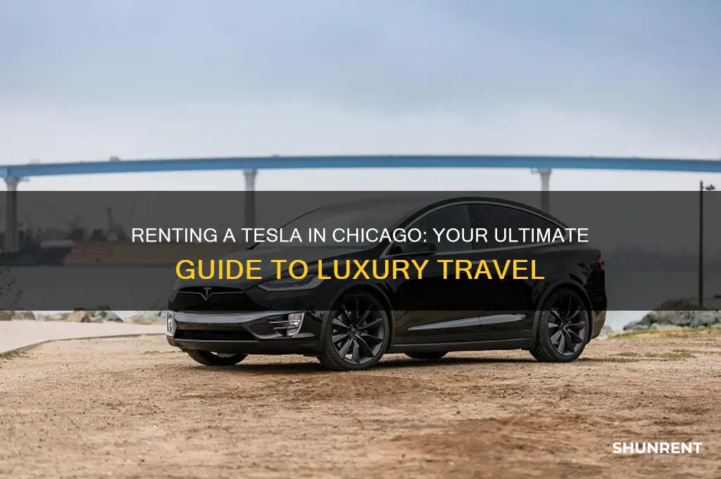how to rent a tesla in chicago