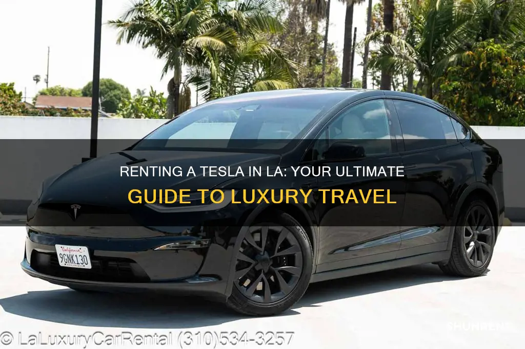 how to rent a tesla in los angeles
