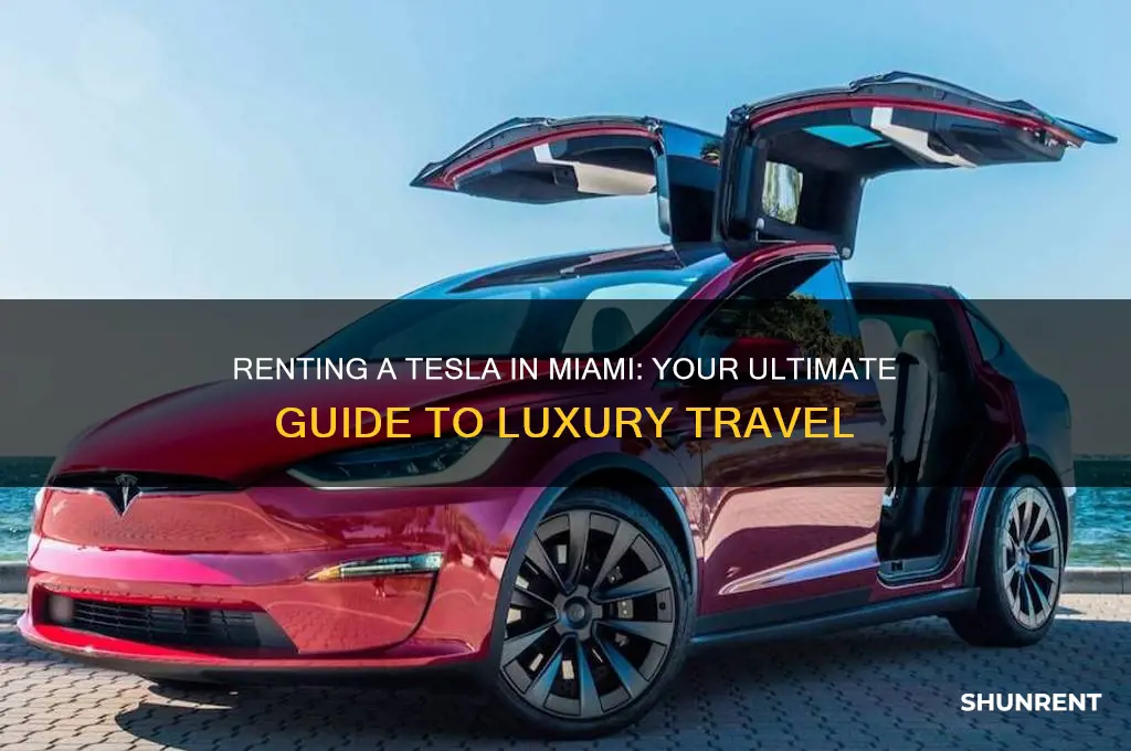 how to rent a tesla in miami