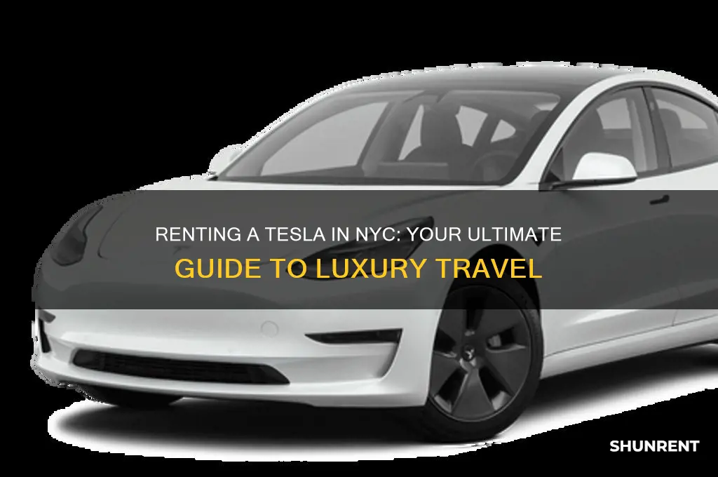 how to rent a tesla in nyc