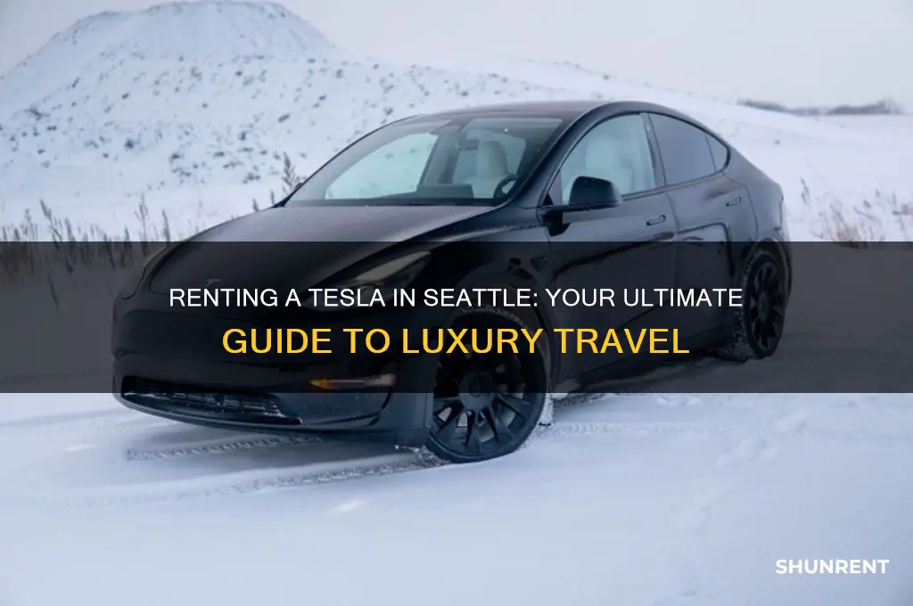 how to rent a tesla in seattle