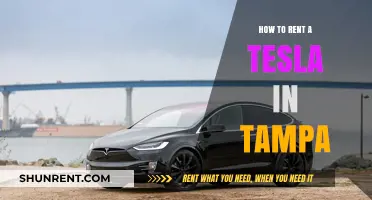 Renting a Tesla in Tampa: Your Ultimate Guide to Luxury Travel