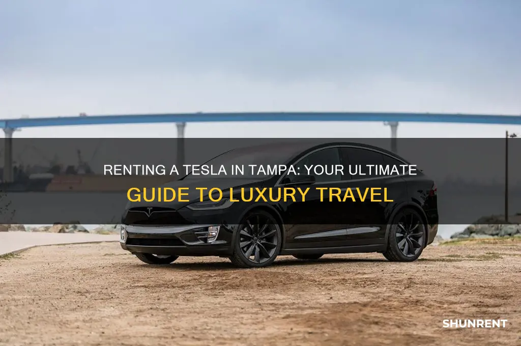 how to rent a tesla in tampa
