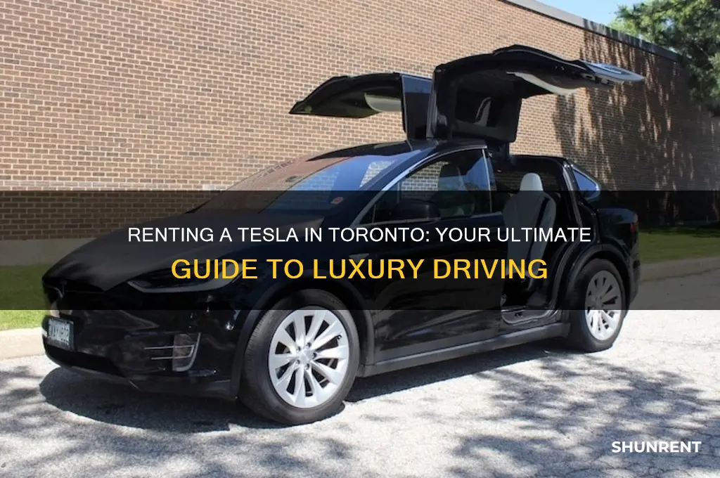 how to rent a tesla in toronto