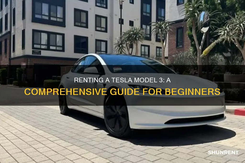 how to rent a tesla model 3
