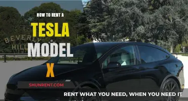 Renting a Tesla Model X: Ultimate Guide to Luxury EV Hire