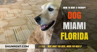 Renting Therapy Dogs in Miami: A Guide to Finding Your Companion