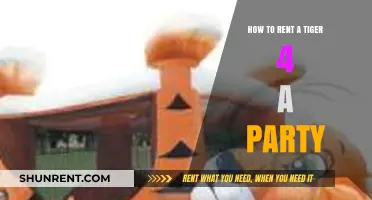 Renting a Tiger for Your Party: Tips and Considerations