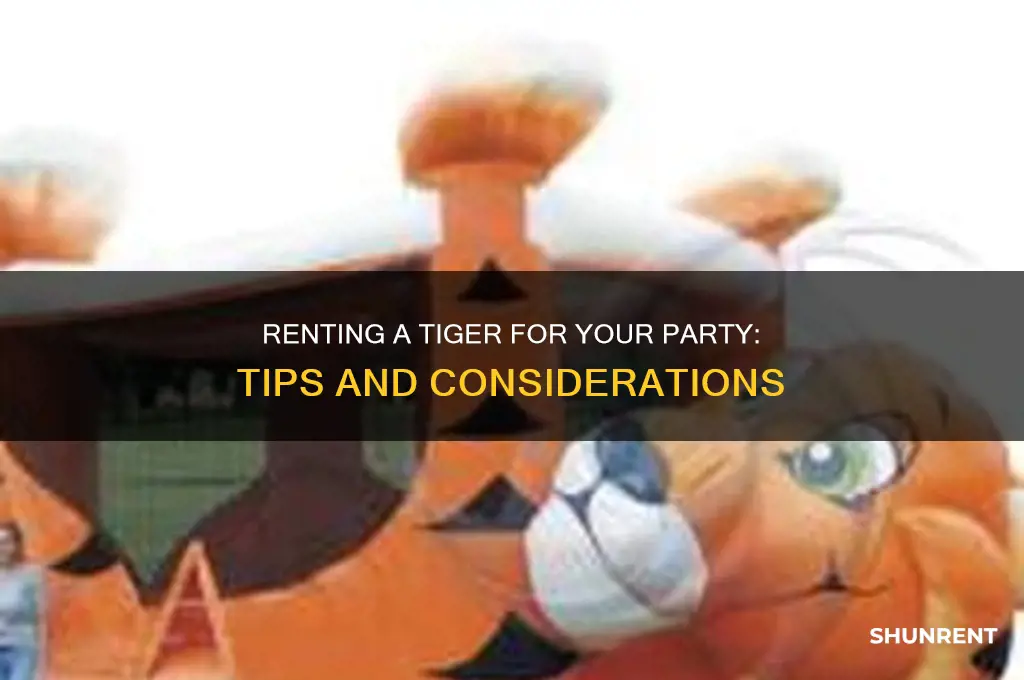 how to rent a tiger 4 a party