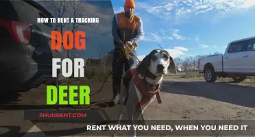 Renting Tracking Dogs for Deer: A Hunter's Guide to Recovery Success