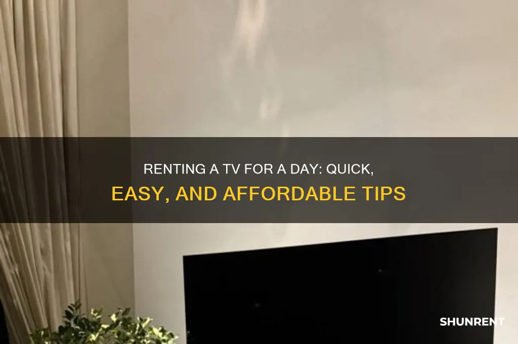 how to rent a tv for a day