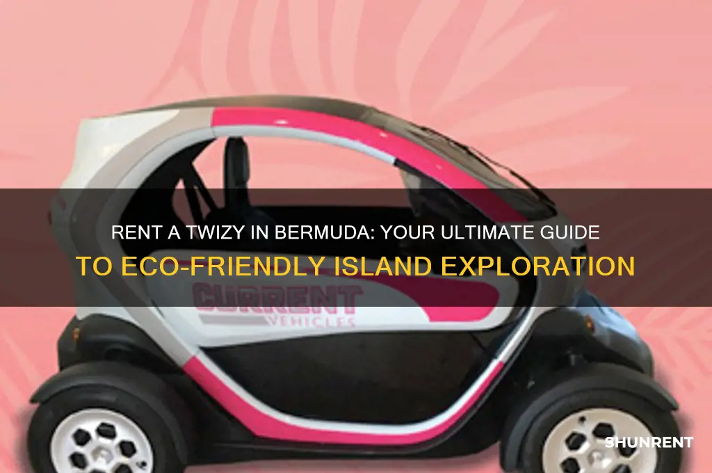 how to rent a twizy in bermuda