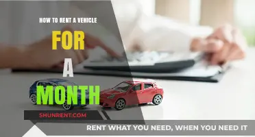 Monthly Vehicle Rental Guide: Tips for Long-Term Car Leasing