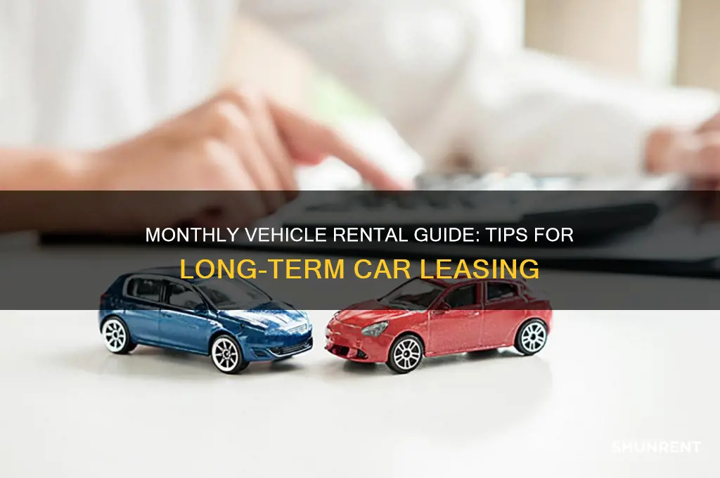 how to rent a vehicle for a month