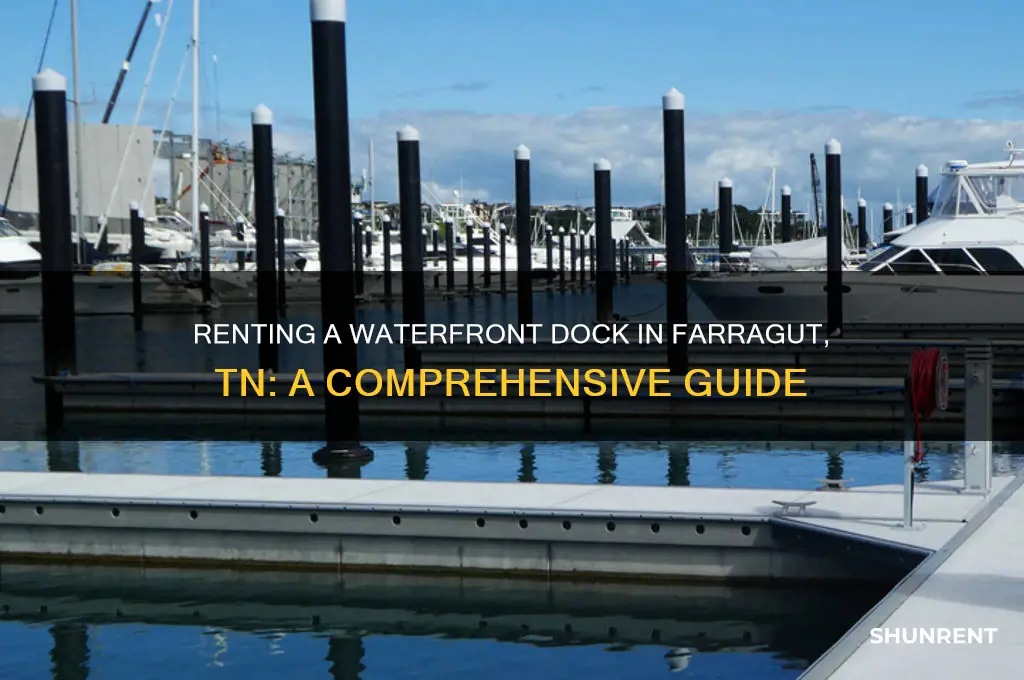 how to rent a waterfront dock in farragut tn
