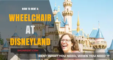 Renting a Wheelchair at Disneyland: A Step-by-Step Guide