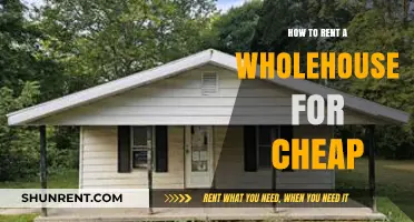 Affordable Whole-House Rentals: Smart Tips for Budget-Friendly Stays