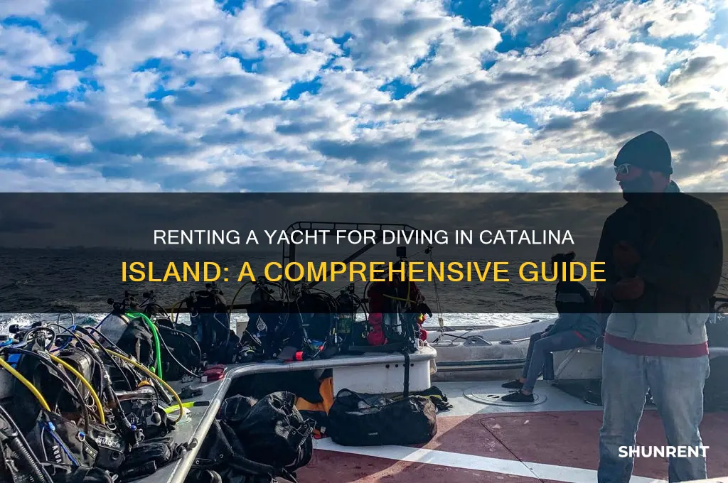 how to rent a yacht for diving in catalina island