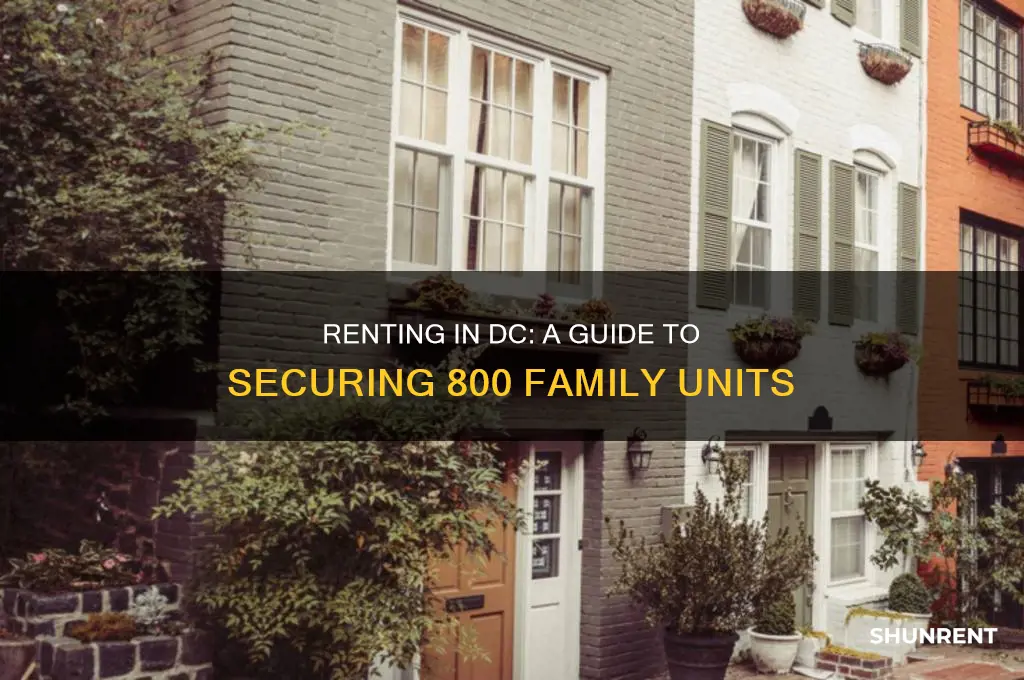 how to rent an 800 families in dc