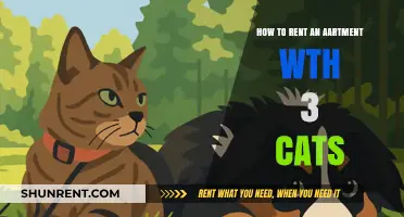 Renting with Feline Friends: Tips for Apartment Hunting with 3 Cats